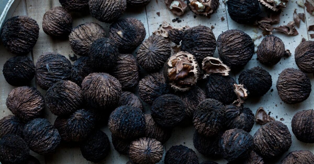 Black Walnut