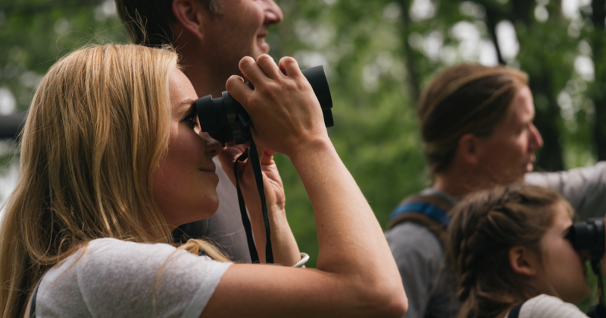 Birdwatching Through the Seasons | Blackberry Magazine