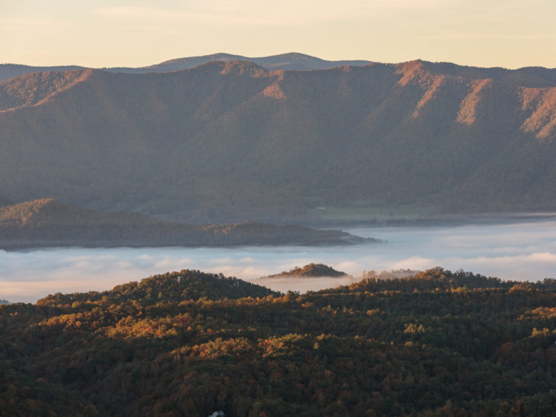 From Conservation to Connection