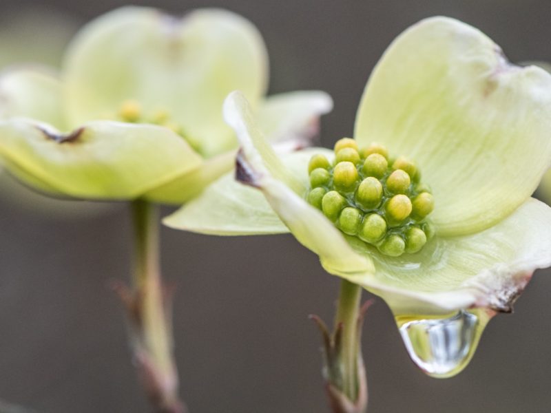 Rainy Day Fun on the Farm