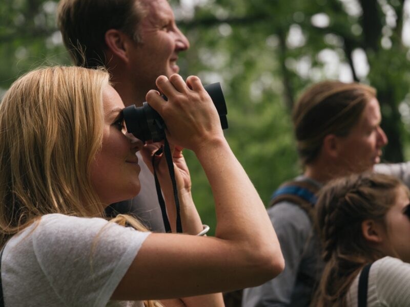 Birdwatching Through the Seasons
