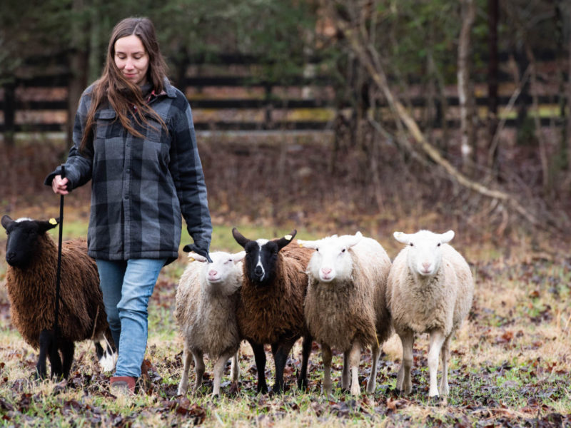 Check in With the Herd