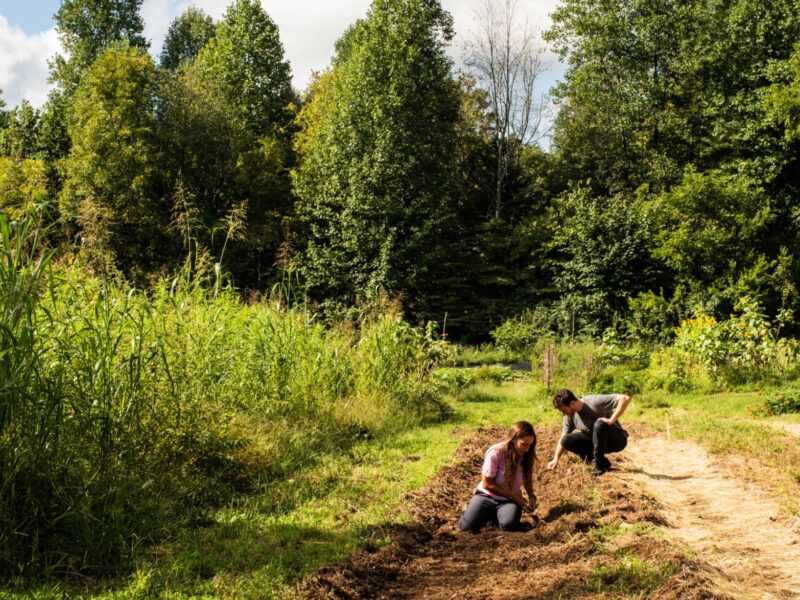 Preparing for the Growing Season Ahead