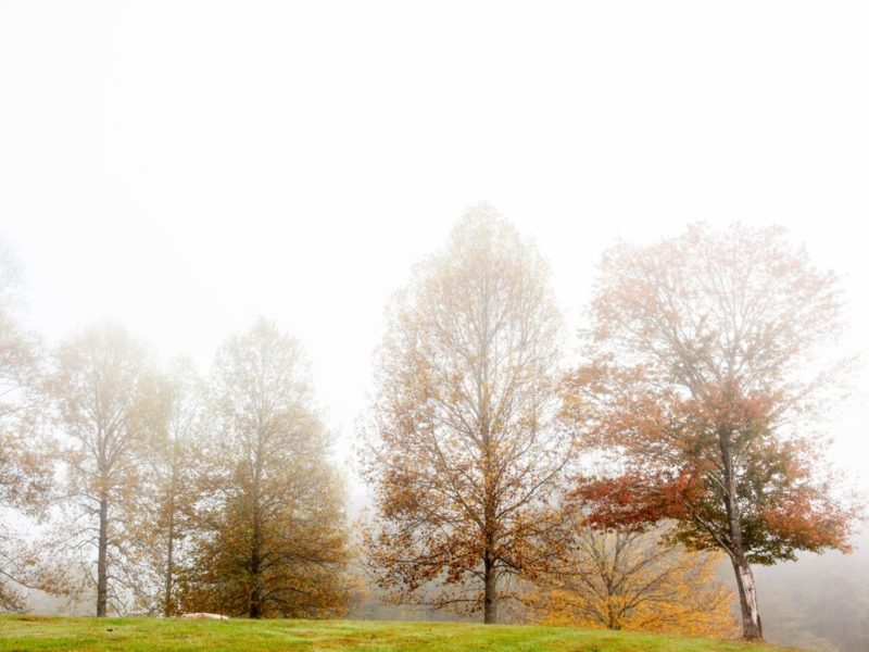 The First Cold Days of Fall