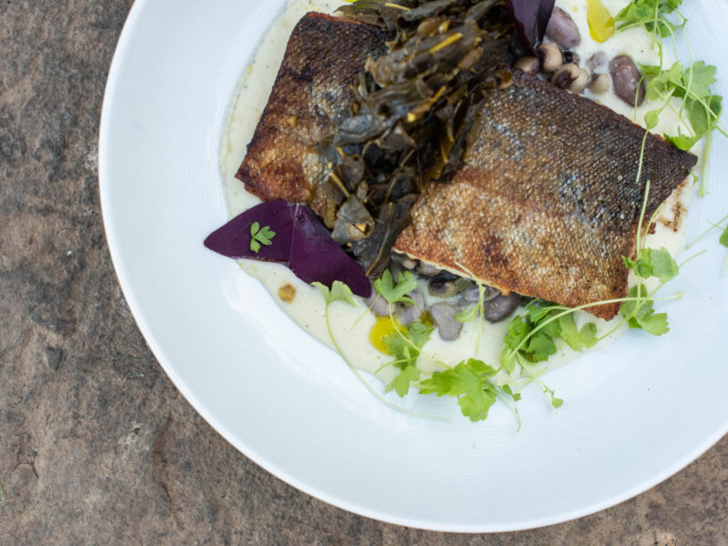 Seared Trout from the Main House