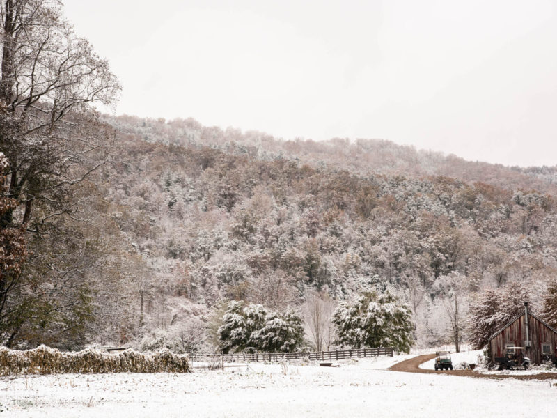 Discover the Bounty of Winter