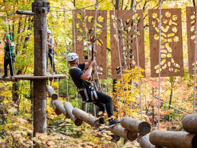 Inside Arbor Adventure
