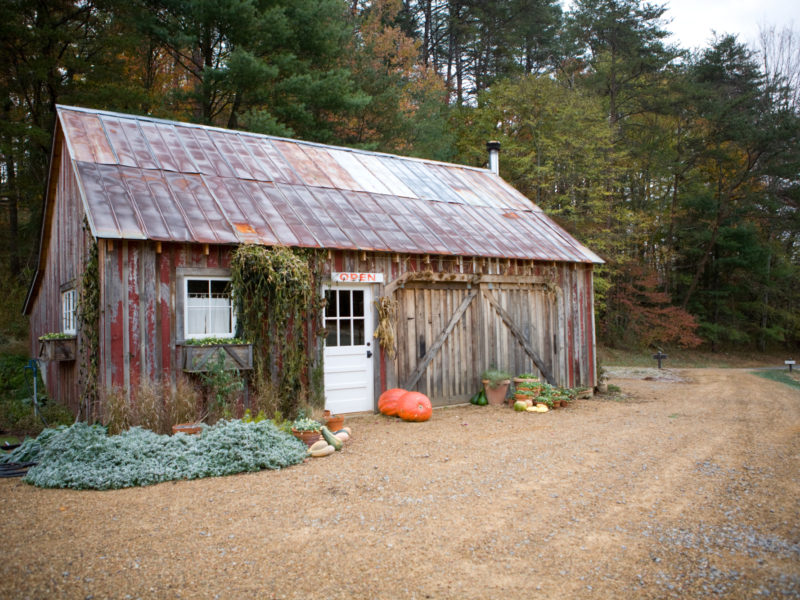 First Frost, First Fire