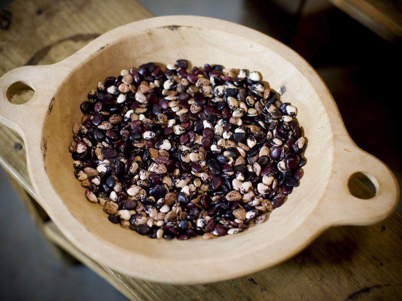 Gone to Seed with John Coykendall