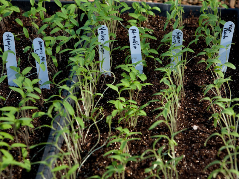 Here is what we would do for March