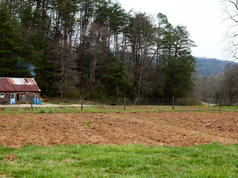 March Garden Check-In