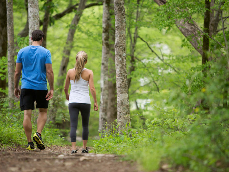 Walker Mountain Trail