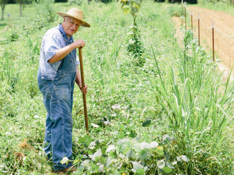 Deeply Rooted - A Documentary with John Coykendall