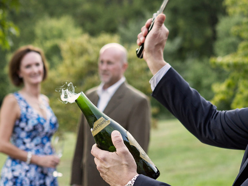 Fresh Wines for Spring