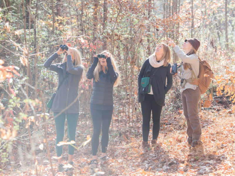 Connecting with Nature