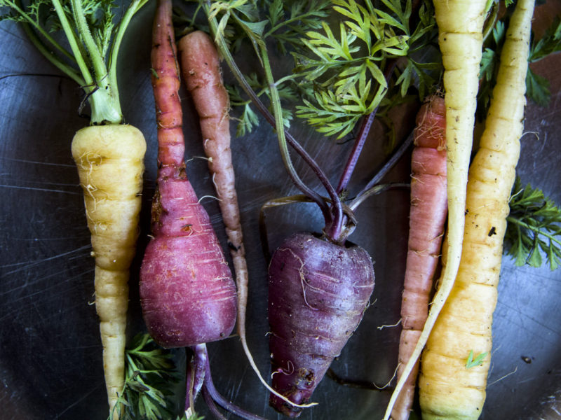 Winter Storage - Carrots and Parsley