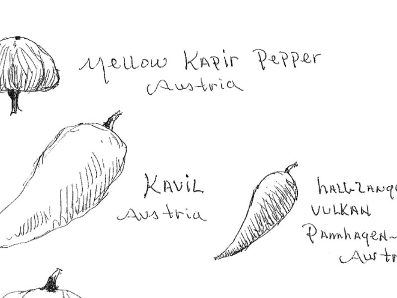 Peppers