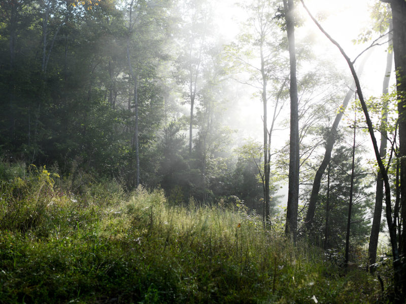 The Benefits of Sunshine