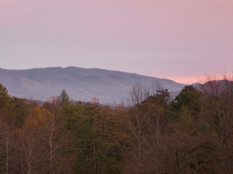 A Great Year of Dawns