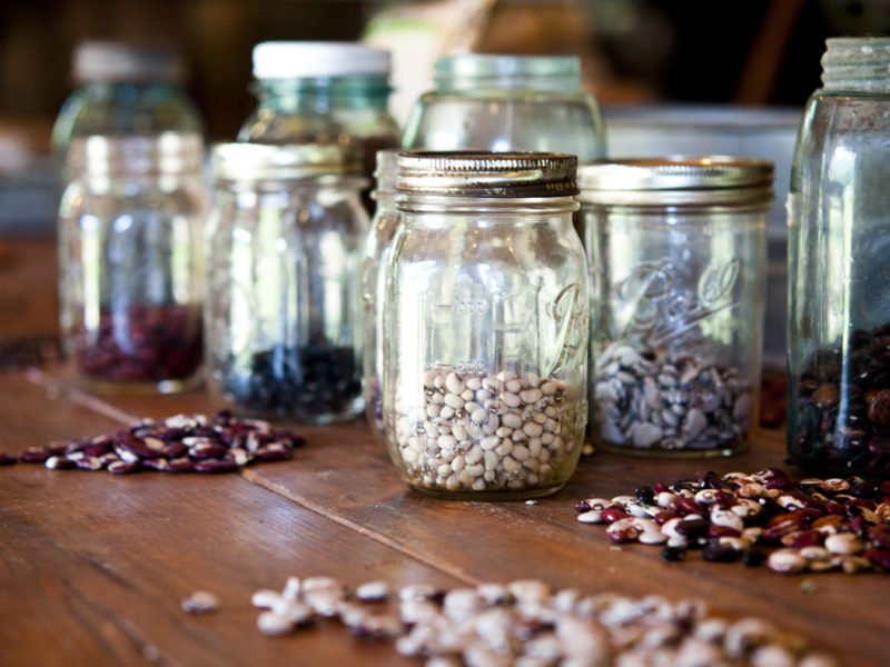 Saving the Seeds From By Gone Times for Future Generations