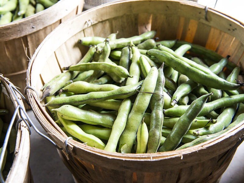 Stove Pipe Peas and the Grove Pepper