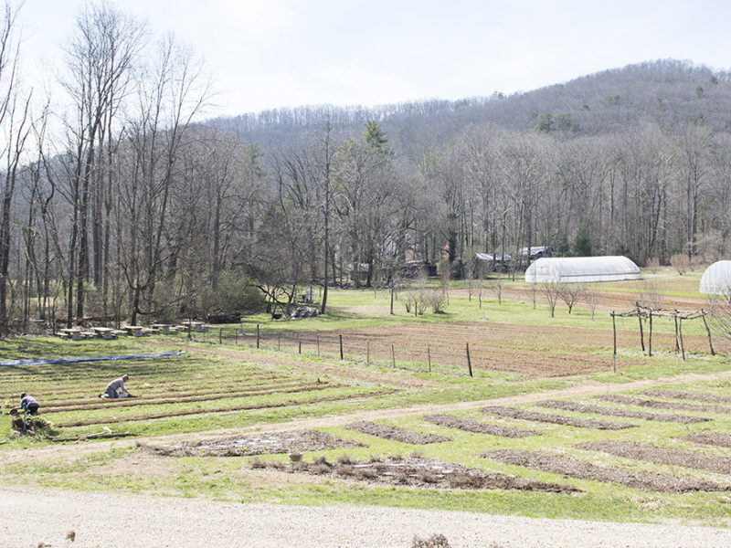 A Black Spring Remembered