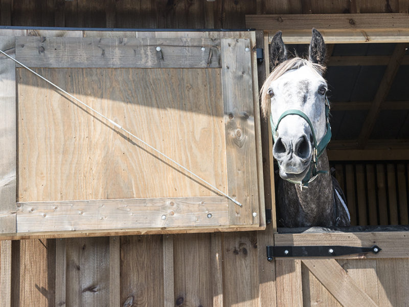 Paddocks on the Creek