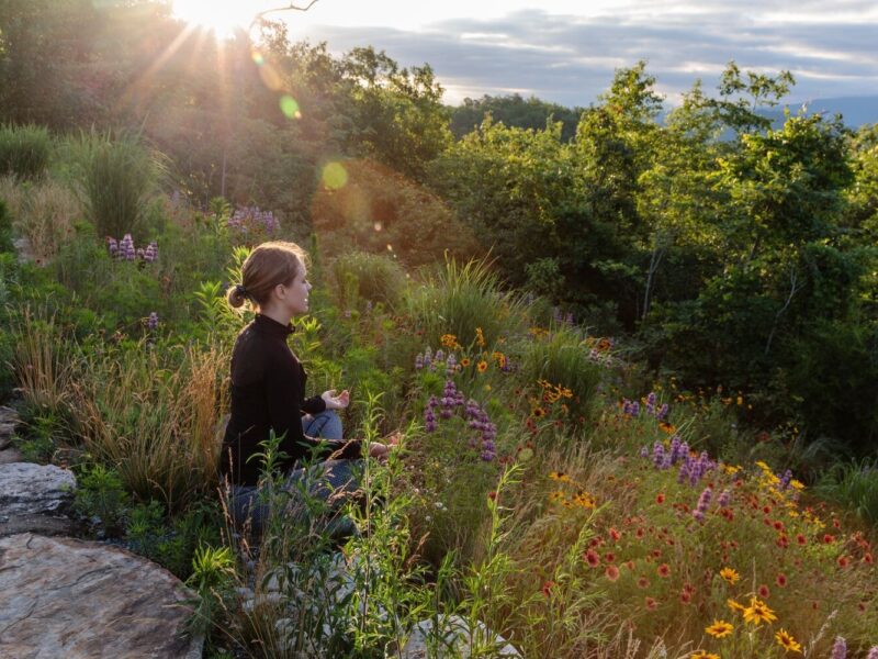 Sunlight Meditation