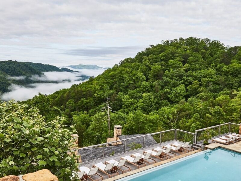 A Day at Blackberry Mountain