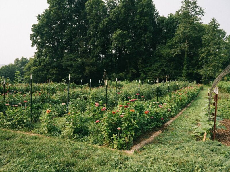 Feed Your Soil