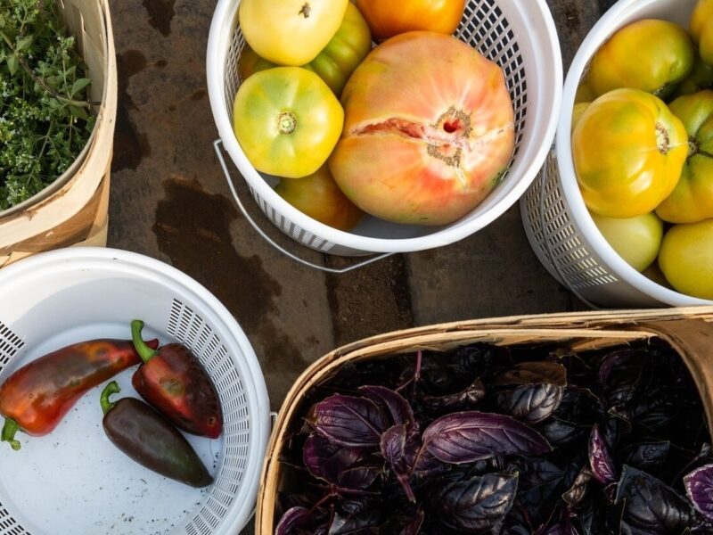 Keeping Our Agricultural History Alive