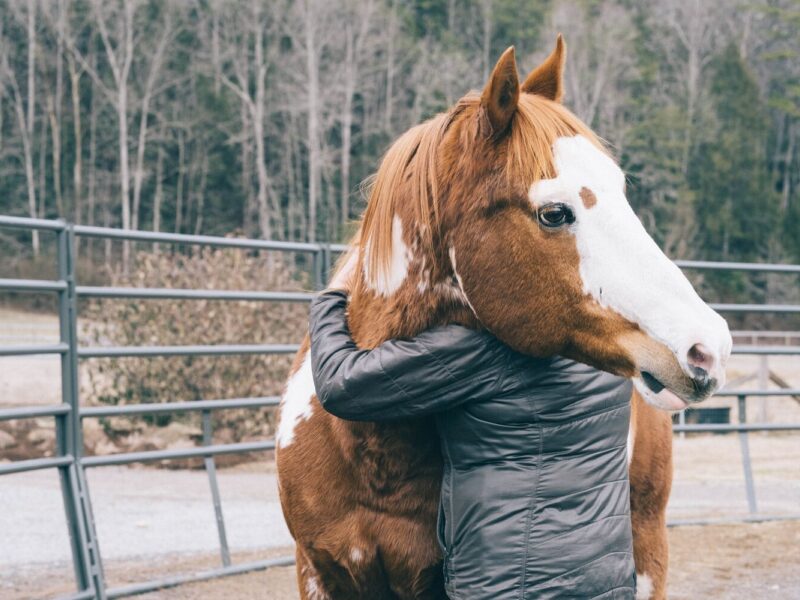 An Unexpected Partner