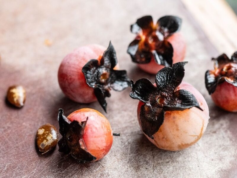 It’s Persimmon Season!