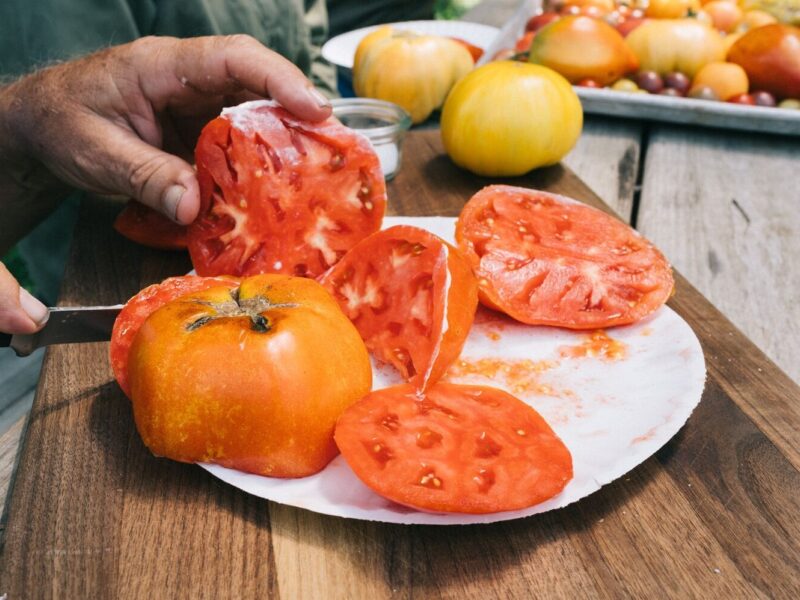 2025 Tomato Varieties