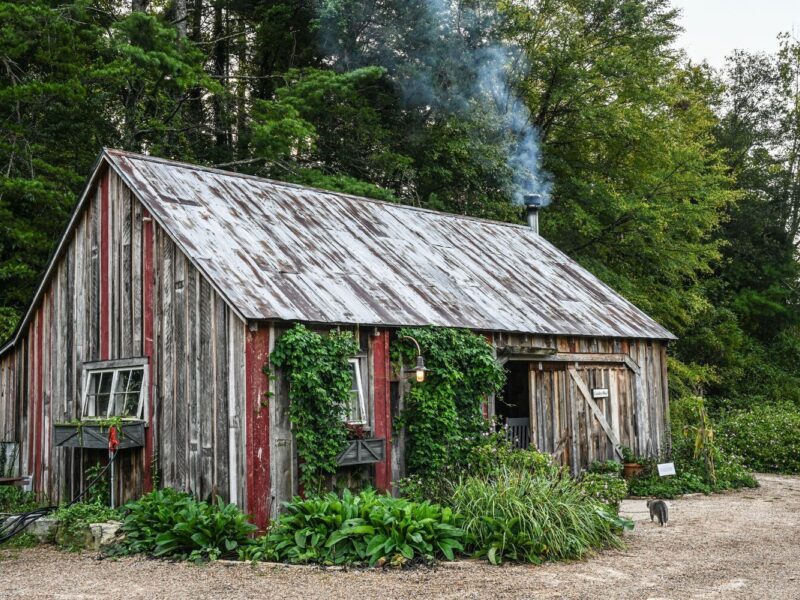 A First Look at Fall