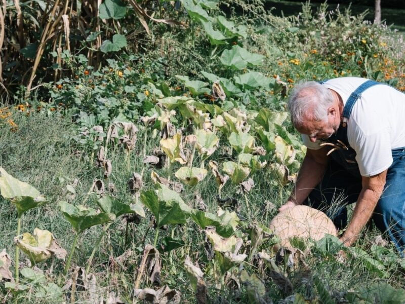 Capturing Fleeting Scenes and Moments in Time
