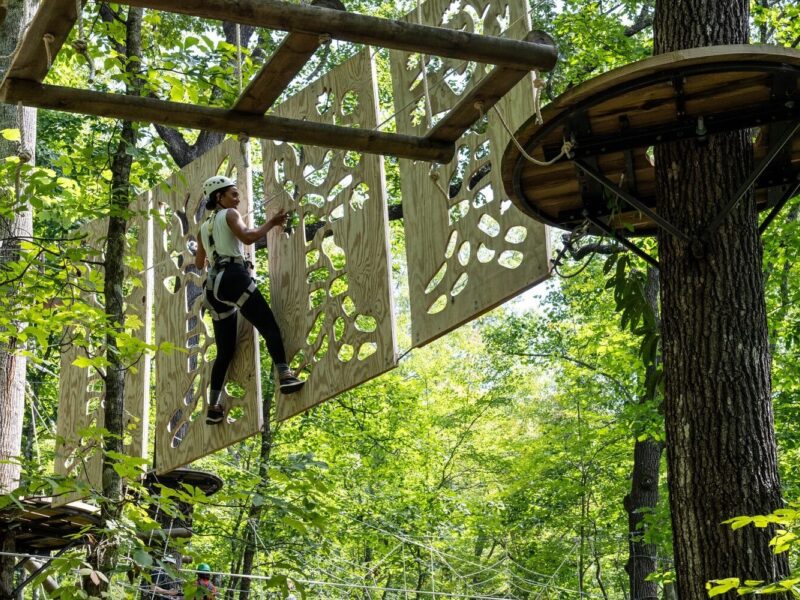 A Summer of Adventures