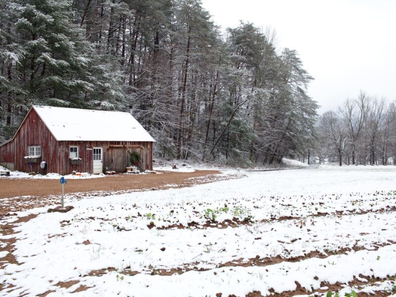 A Winter’s Day in Our Garden Shed
