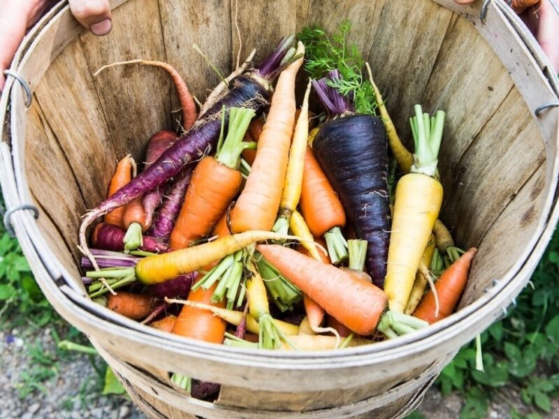 Garden-Inspired Favorites