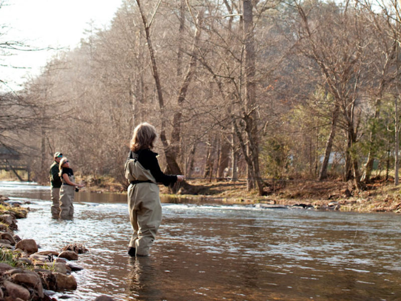 Thankful Angler