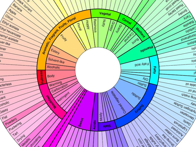Flavor Wheel