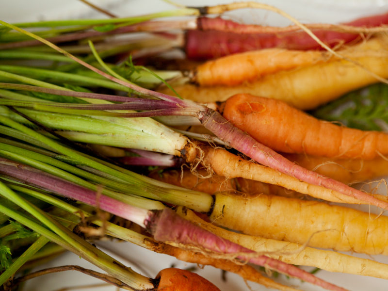 Carrots Then and Now