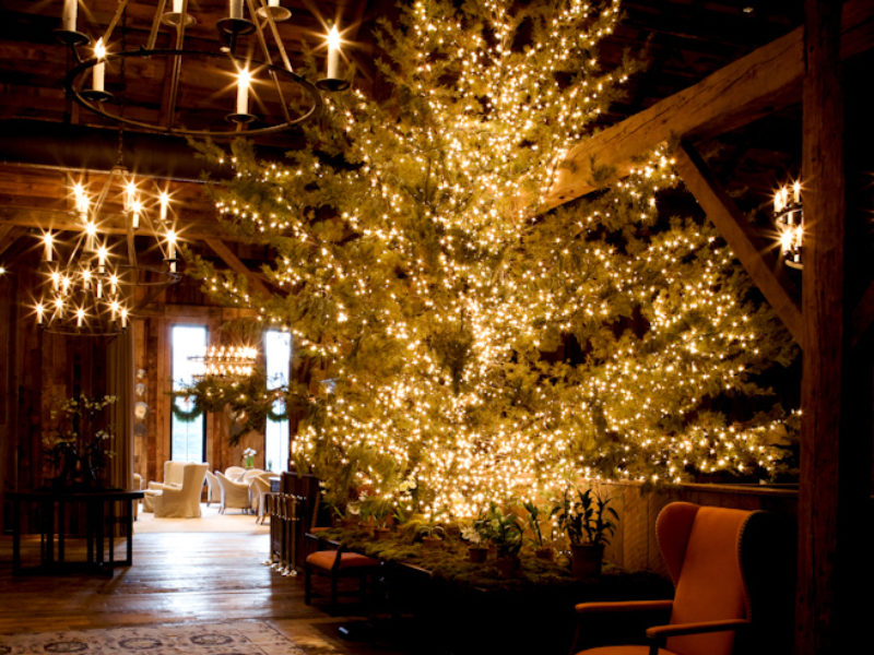 Top 10 with Chef Joseph Lenn for December