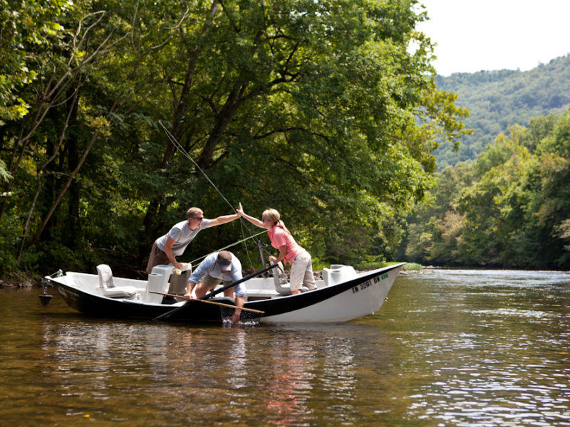 Dog Days and Trout Alternatives