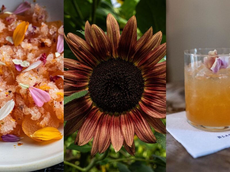 5 Edible Flowers with Unique Uses