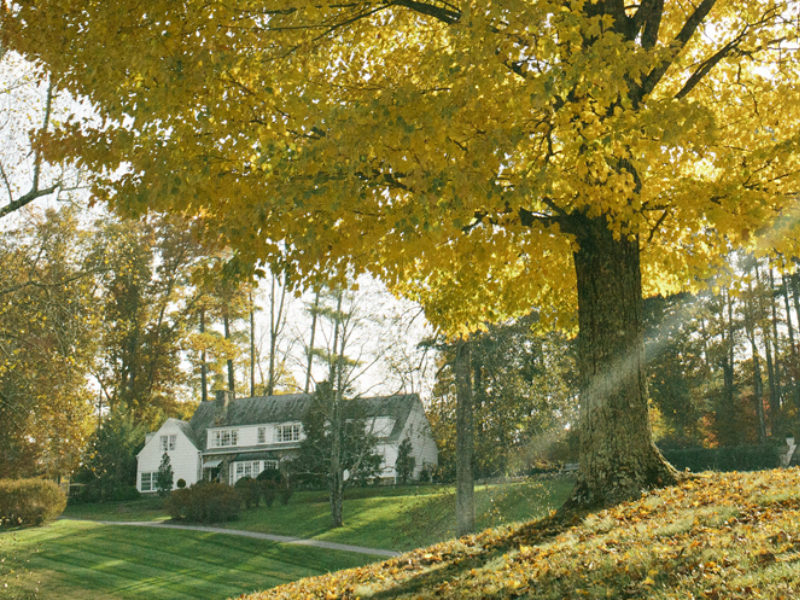 Coming Into Fruition