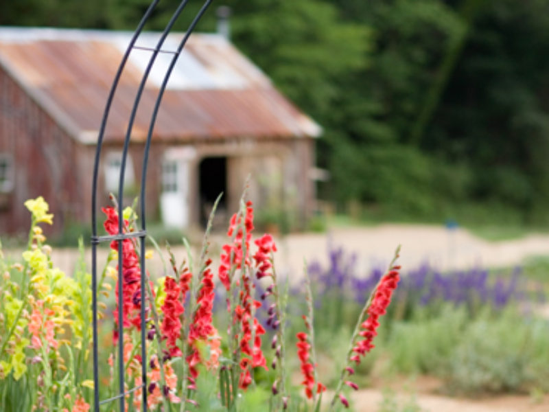 The Heritage Garden for 2017