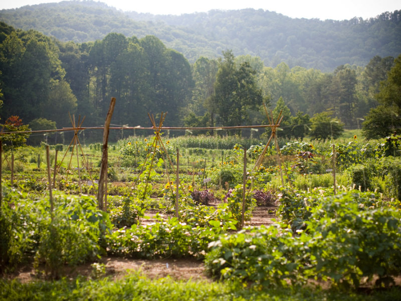 Blackberry Farm is a 2012 American Treasures Award Winner