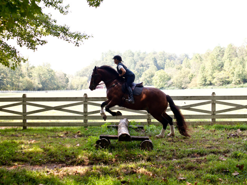 Overcoming Equine Obstacles: Real and Imagined!