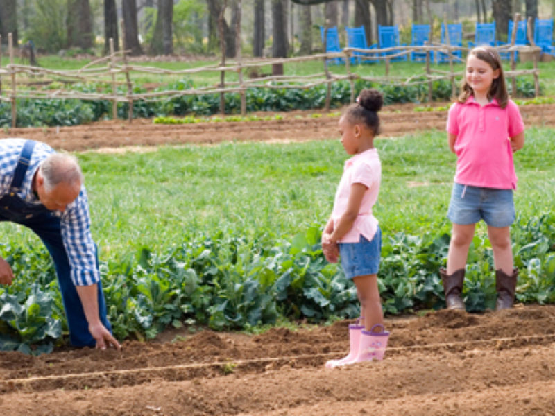 How to Get Your Kids to Eat Their Vegetables